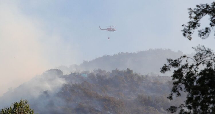 O’Higgins: Senapred declara Alerta Roja por incendio forestal en Pumanque