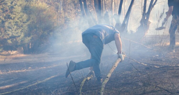 Un detenido por iniciar incendio forestal en Los Álamos: delegado apunta a robo de madera para leña