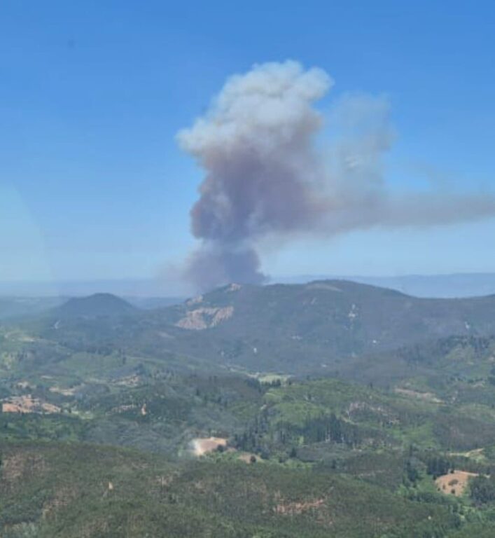 Declaran Alerta Roja en Hualqui por incendio forestal que ha consumido 20 hectáreas