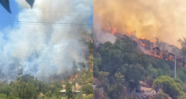 Senapred declara Alerta Roja en Paine por incendio forestal: piden evacuar el sector afectado