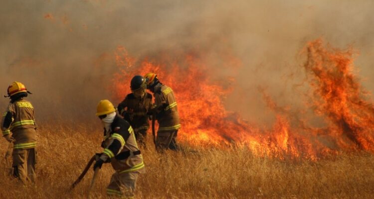 Declaran Alerta Amarilla para la RM por los incendios forestales en San Pedro y Melipilla