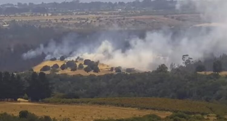 Incendio forestal en Santo Domingo