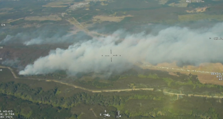 Declaran Alerta Roja para comuna de Los Álamos por incendio forestal: van 300 hectáreas consumidas