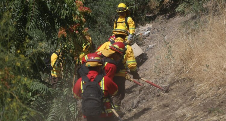 Presidente Boric y autoridades de la RM llaman a evitar el inicio de incendios forestales