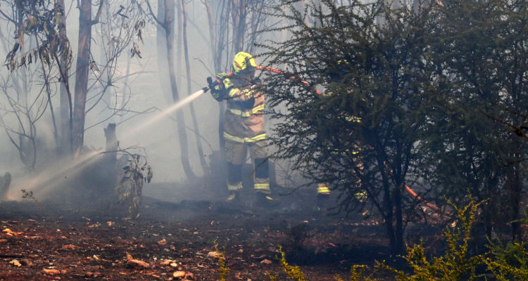 Incendios forestales: Senapred cancela Alerta Temprana Preventiva para la RM