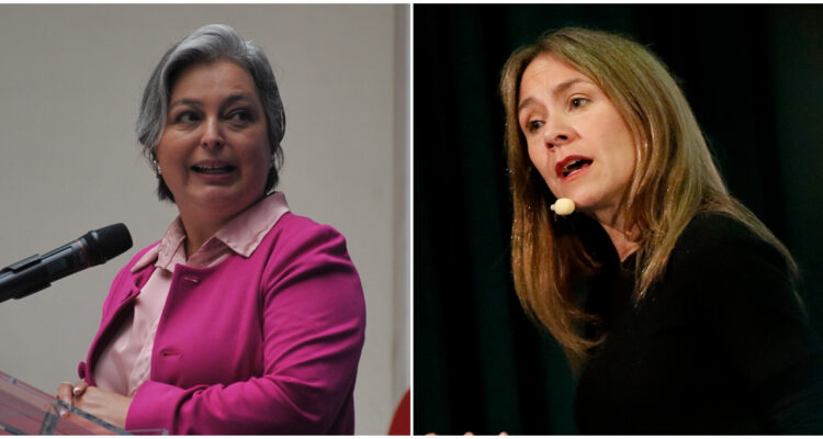 Gobierno coincide con empresarios: extender postnatal a un año perjudicaría contratación de mujeres