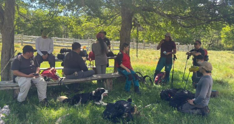 Buscan a joven desaparecido en Parque Nacional Villarrica: amigos lo perdieron de vista el domingo
