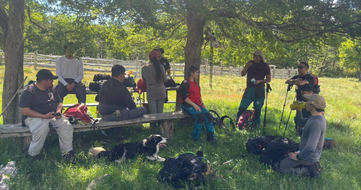 Buscan a joven desaparecido en Parque Nacional Villarrica: amigos lo perdieron de vista el domingo