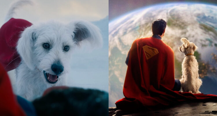 Krypto