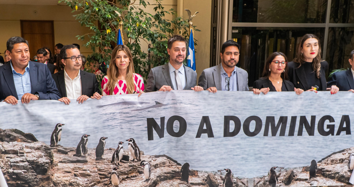 Diputado Manouchehri (PS): “Si Dominga se aprueba, se muere el alma de este Gobierno”