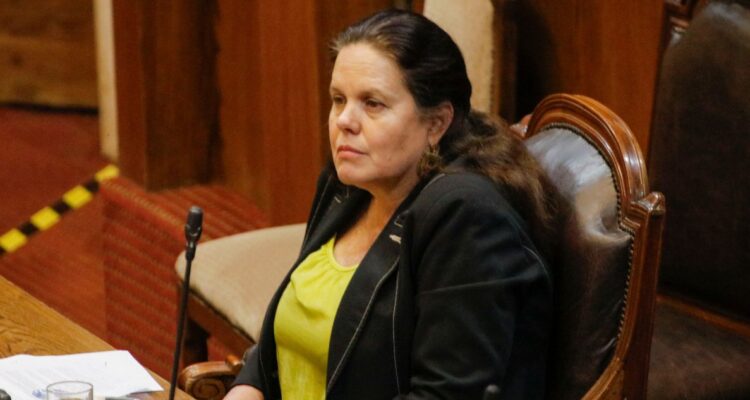 Ministra Fernández destaca que en la zona sur 