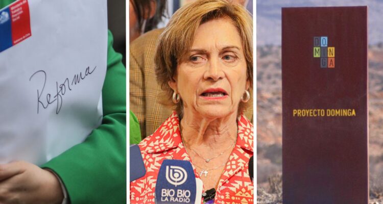 La minuta desde La Moneda al oficialismo: reforma previsional, críticas a Matthei y proyecto Dominga