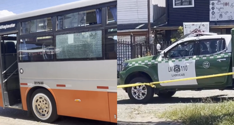 Mujer baleada en transporte público de Valdivia tiene muerte cerebral: alistan donación de órganos