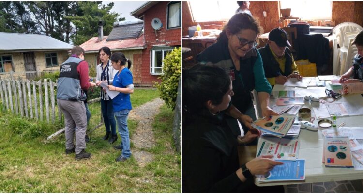 Descubren murciélago con rabia en Ancud: realizan operativo de vacunación a mascotas