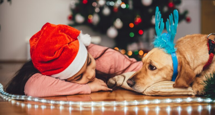 ¿Puedo compartir mi cena navideña con mi mascota? Los alimentos que deben mantenerse alejados