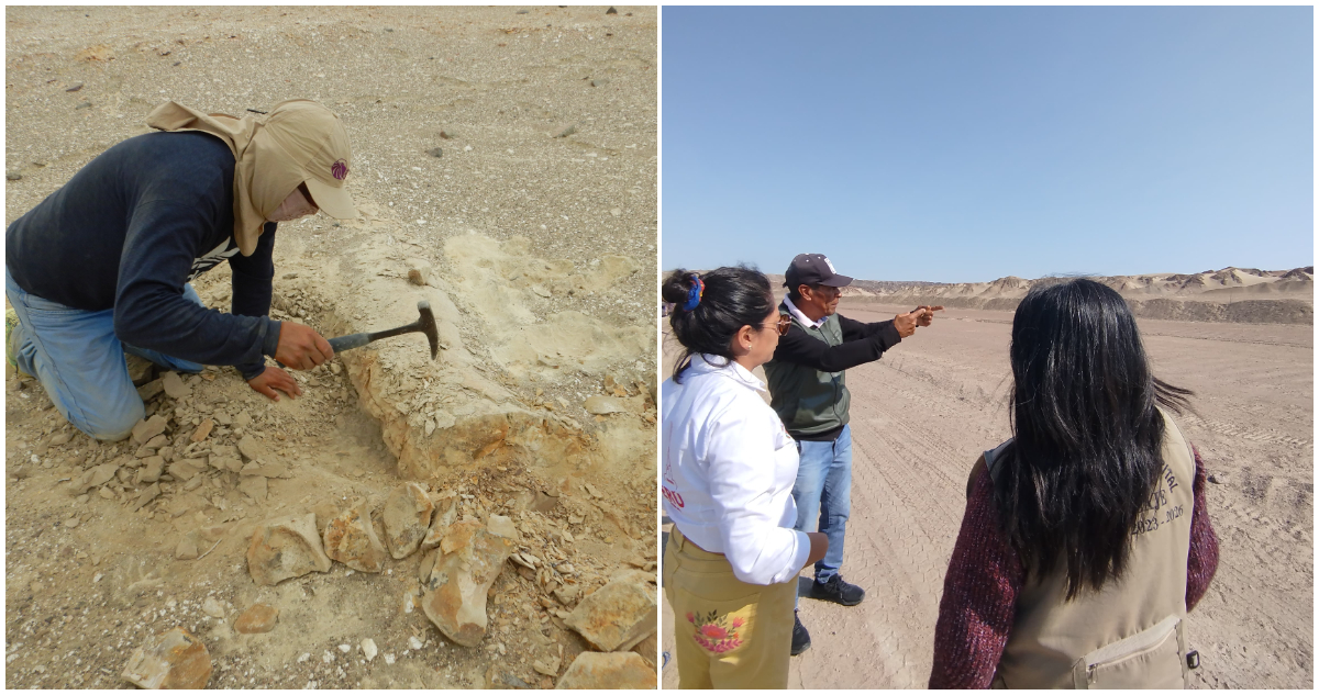 Desierto de Ocucaje | Ministerio de Cultura (Mincul) de Perú.