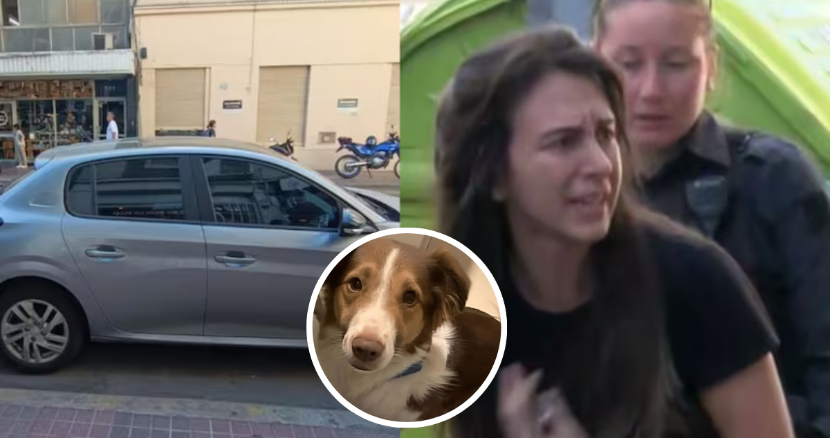 Perro muere en auto en Rosario