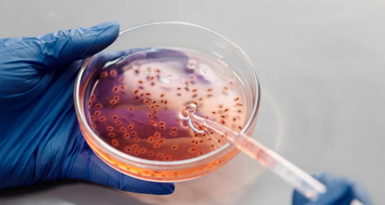 Revelan que cientos de frascos con virus mortales desaparecieron de un laboratorio en Australia