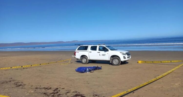 Coquimbo: identifican uno de los cuerpos encontrados en Playa Grande de Tongoy
