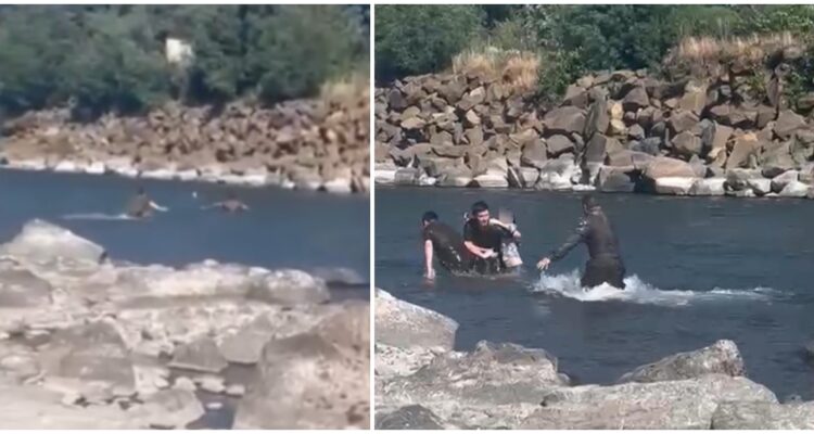 Carabineros rescatan a niña que era arrastrada por la corriente en río Cautín