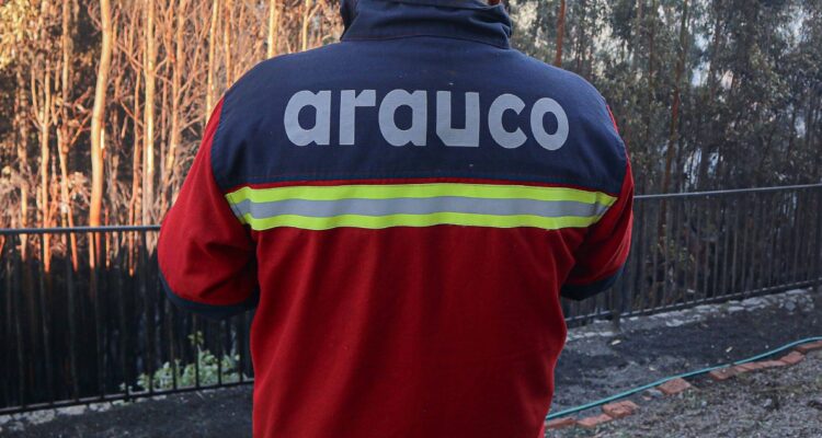 Robo brigadistas de Forestal Arauco