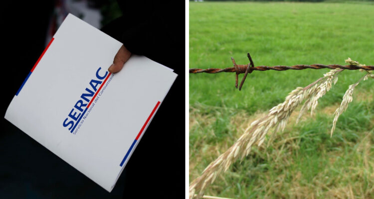 No se presentó: Sernac pide orden de arresto contra representante de firmas de venta de parcelas