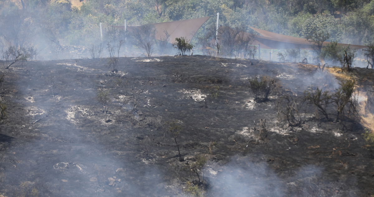 Conaf decreta prohibición del uso del fuego para doce regiones con el objetivo de prevenir incendios