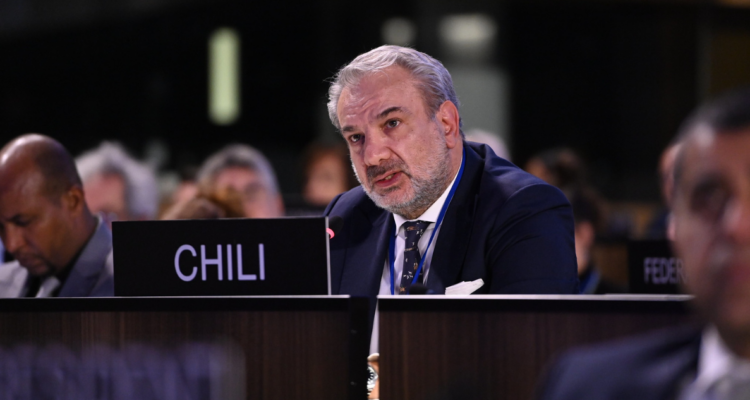 Exembajador critica a La Moneda tras ser sacado por denuncia: “Distinta suerte corren los amigos”