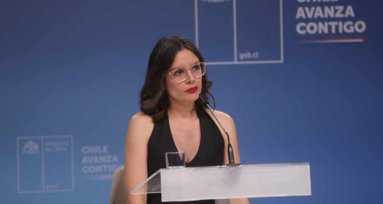 Ministra Vallejo descarta que regularización acotada genere “efecto llamado” para otros migrantes