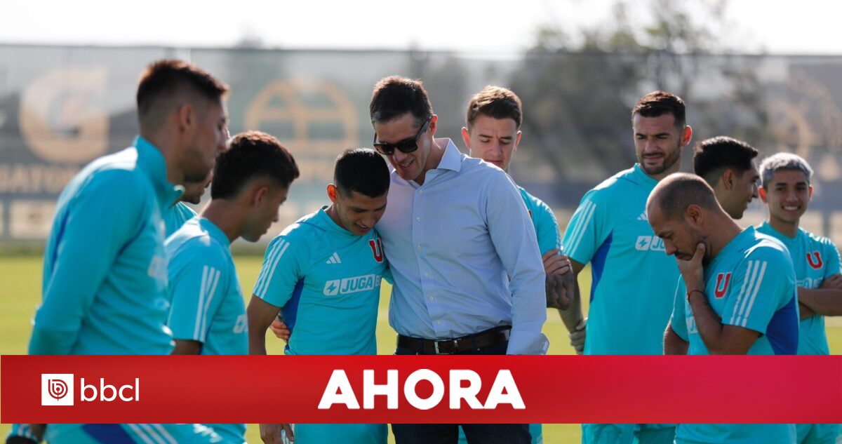Michael Clark reporta a la CMF que pagó sólo 5,7 millones de dólares para sacar a Sartor de Azul Azul | bbcl_investiga - News Directory 3