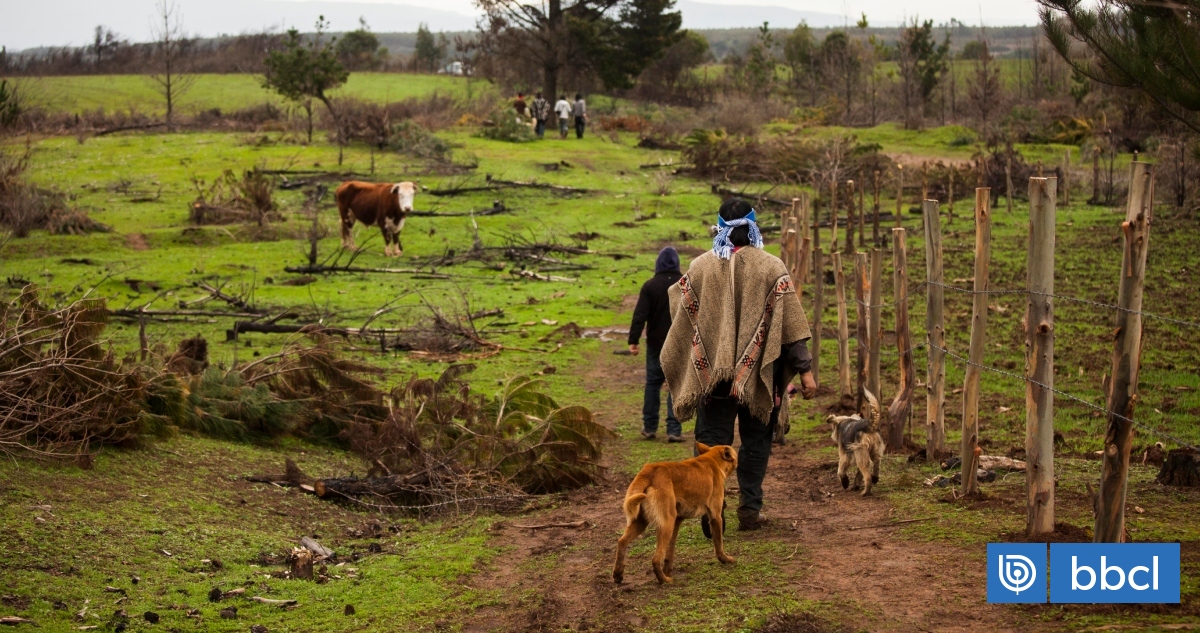 Rechazo a propuesta de Comisión para la Paz por excesiva demanda de tierras