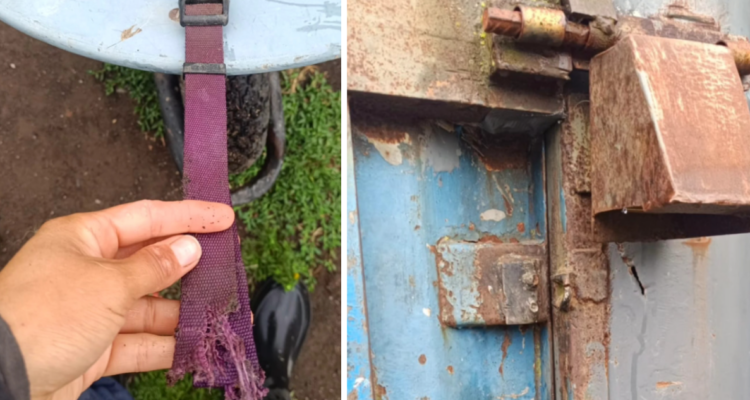 Refugio de perros Coaama