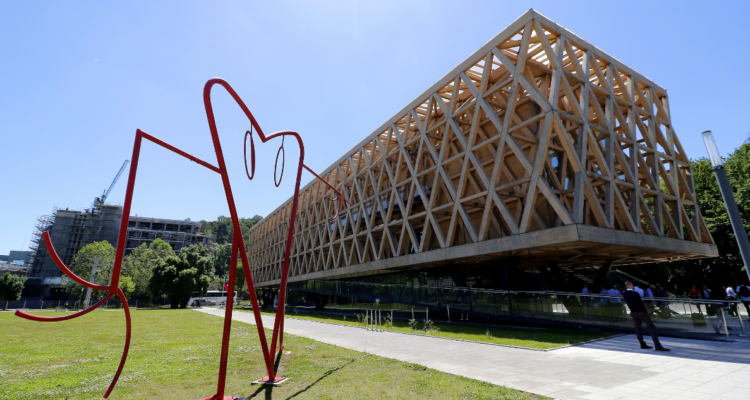 Pabellón de La Araucanía