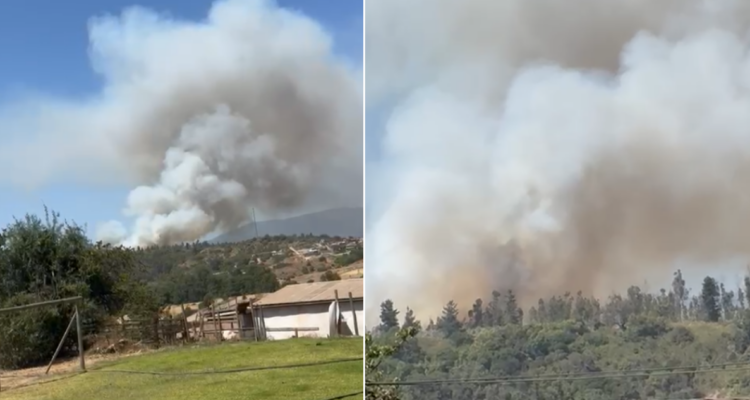 Declaran Alerta Roja por incendio forestal en Quintero y Puchuncaví