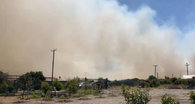 Declaran Alerta Roja y llaman a evacuar sector La Canela de La Ligua por incendio forestal