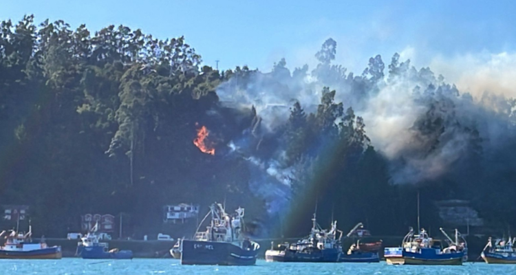 Alerta Roja Coliumo Tomé