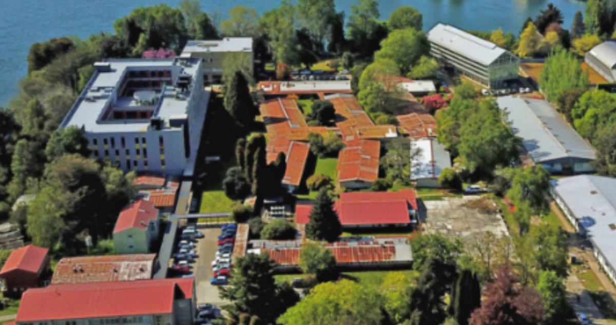 UACh Valdivia