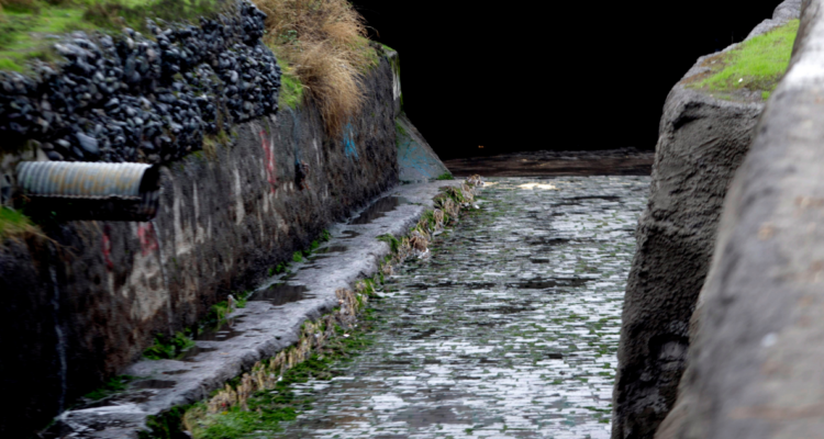 Planta de aguas servidas con exceso residual causó contaminación del Estero Lobos en Puerto Montt