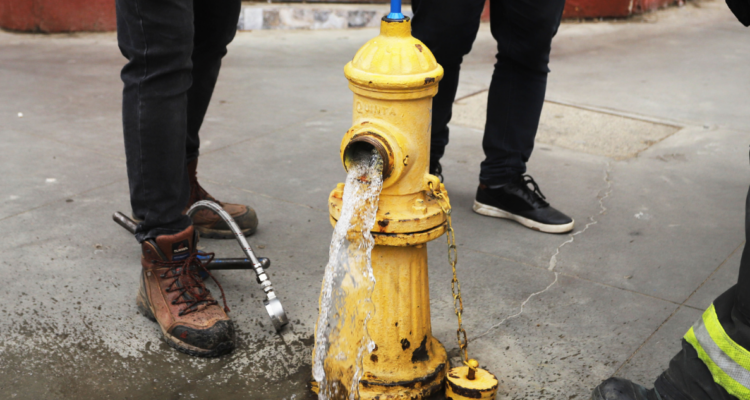 Grifos alerce norte puerto montt