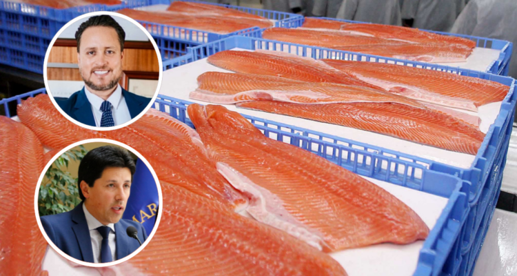 Alcalde Puerto Montt diputado Mauro González industria salmonera