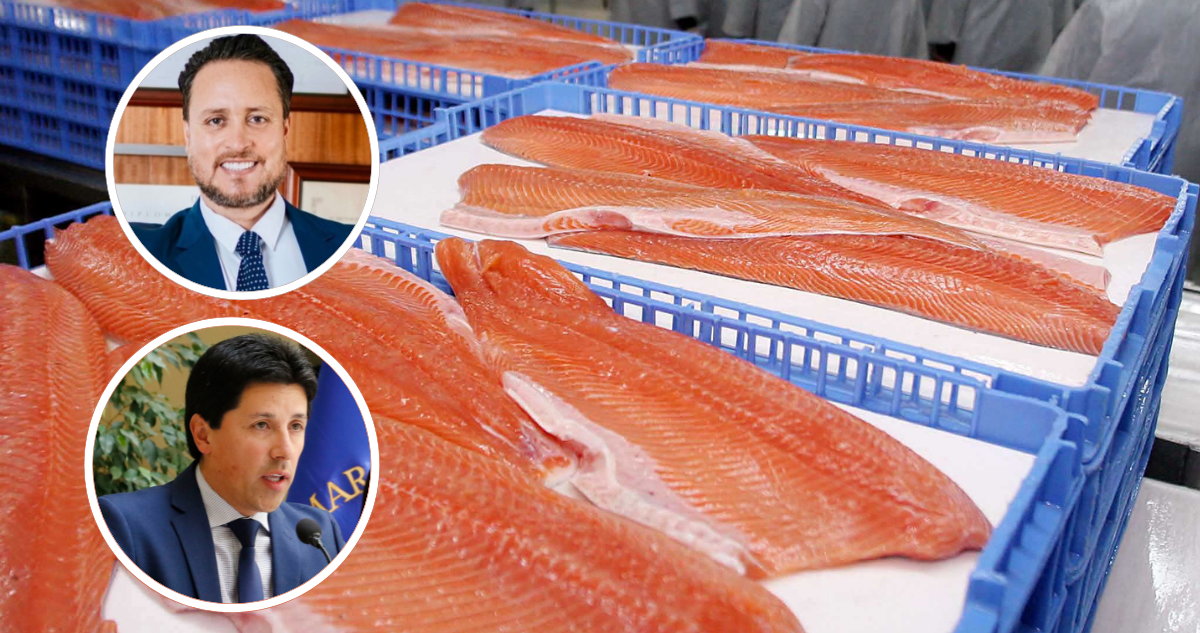 Alcalde Puerto Montt diputado Mauro González industria salmonera
