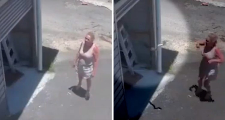 Video capta momento en que pitón se lanza hacia mujer mientras habría garaje de su casa en Australia