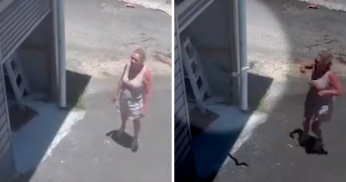 Video capta momento en que pitón se lanza hacia mujer mientras habría garaje de su casa en Australia