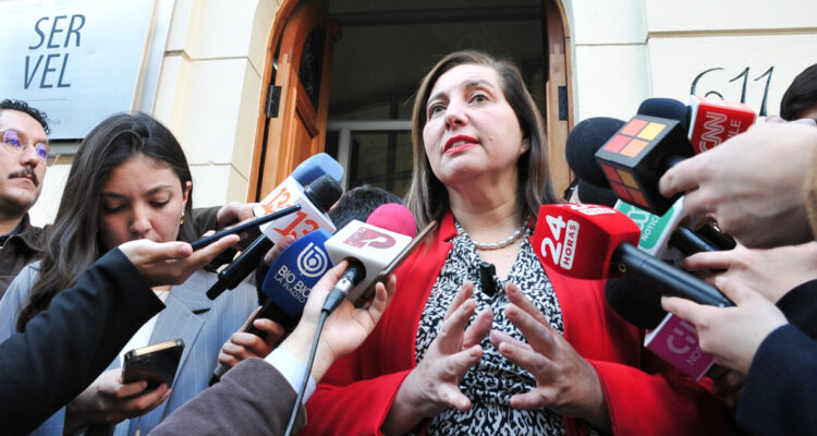 Vodanovic confirma que el PS presentará su propio candidato presidencial