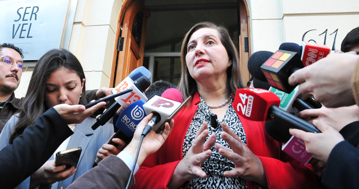 Vodanovic confirma que el PS presentará su propio candidato presidencial