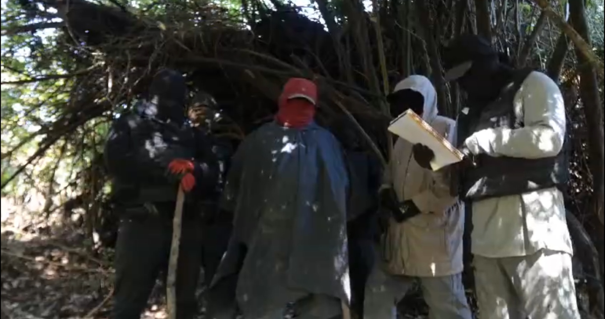 Captura de video