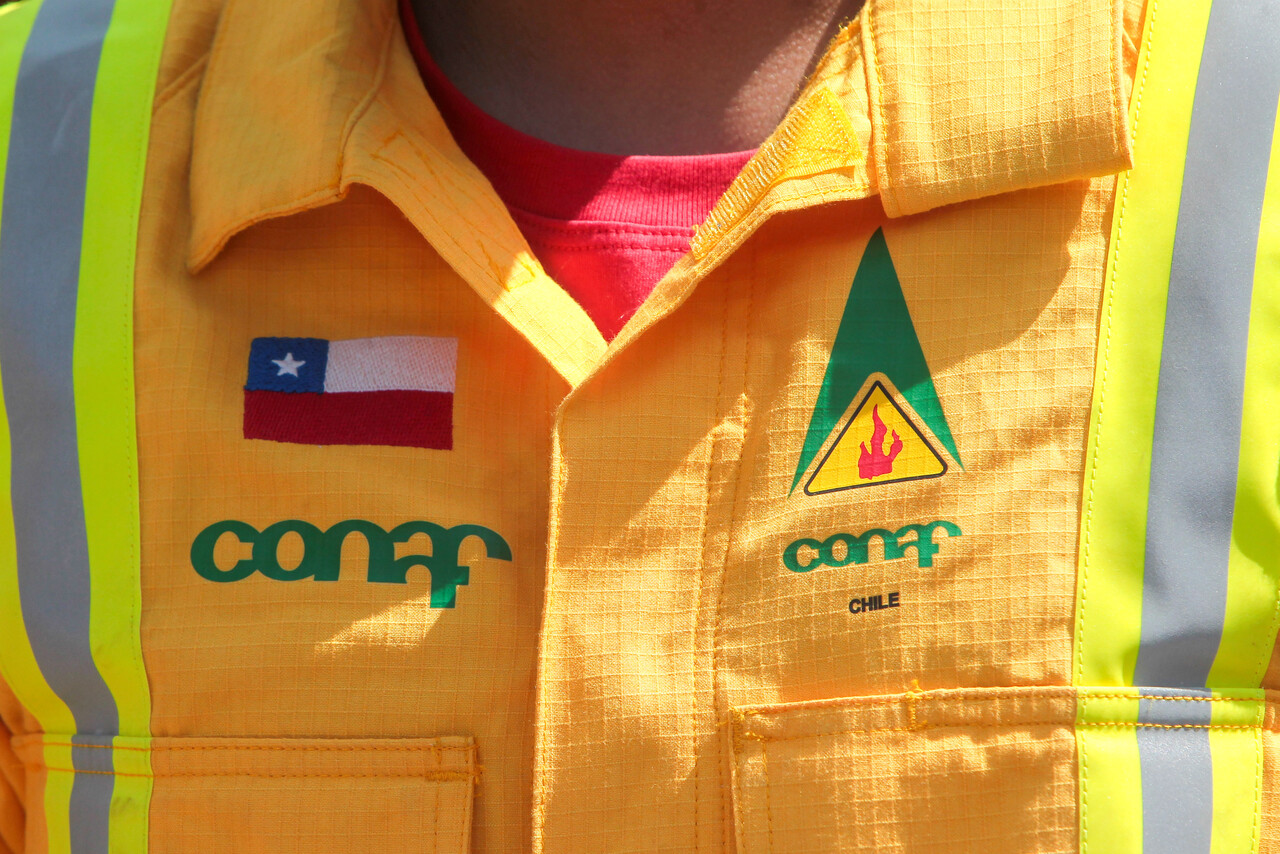 Senado aprueba proyecto de ley que crea el Servicio Nacional Forestal: reemplazaría a Conaf