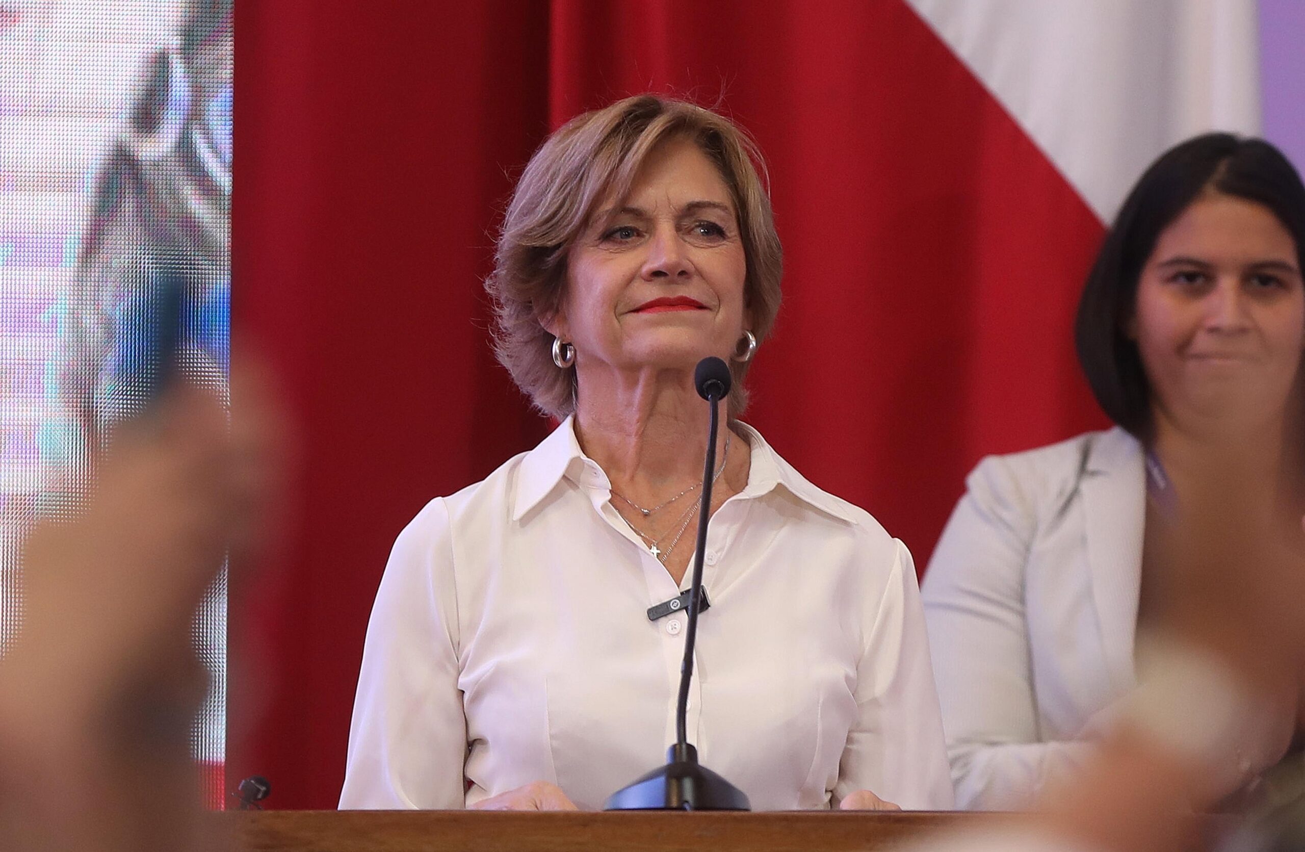 Evelyn Matthei en Consejo de RN
