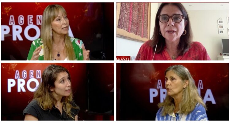 Ley de aborto en Chile: ¿debate científico o moral?