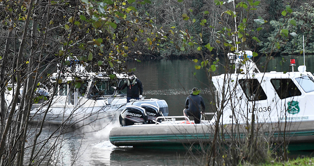 Vehículos de Carabineros por ahogado en Río Cruces en Mariquina